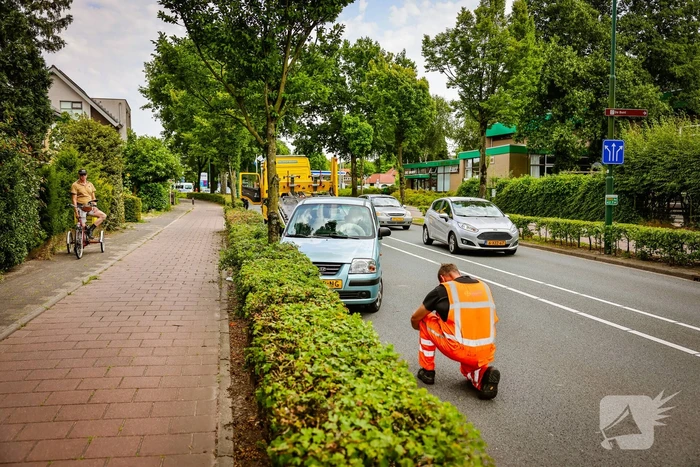 Auto knalt op boom