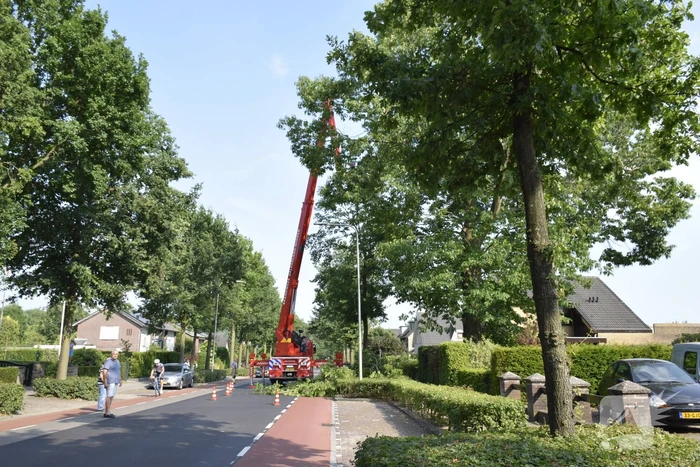 natuur bennekomseweg - n782 renkum
