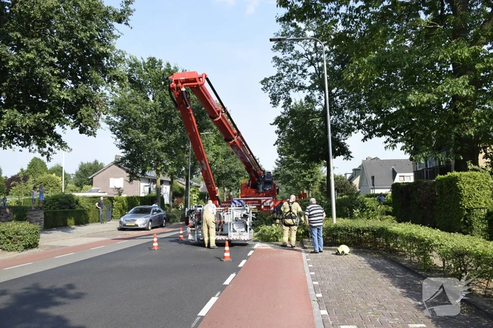 Brandweer verwijdert gevaarlijk hangende tak
