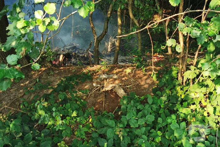 Bosjes in brand onder viaduct