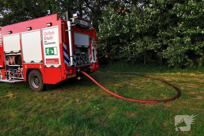 Bosjes in brand onder viaduct