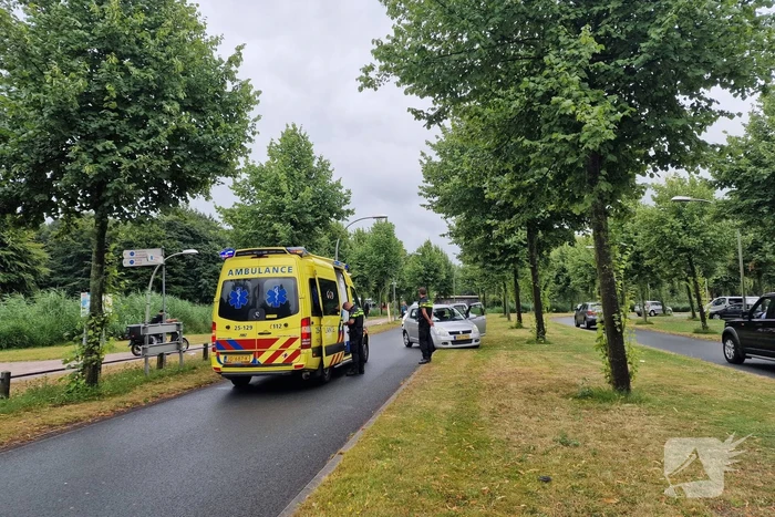 Automobiliste botst door gladheid op boom