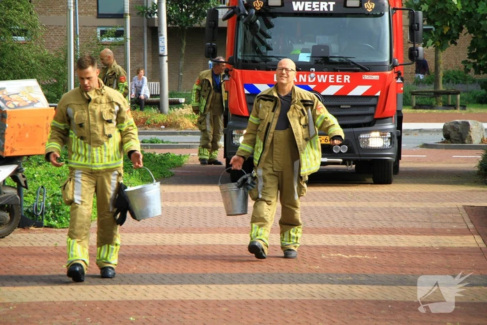 Meerdere kleine branden gesticht in bosschage