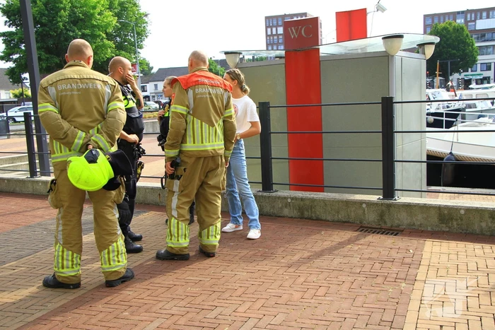 Meerdere kleine branden gesticht in bosschage