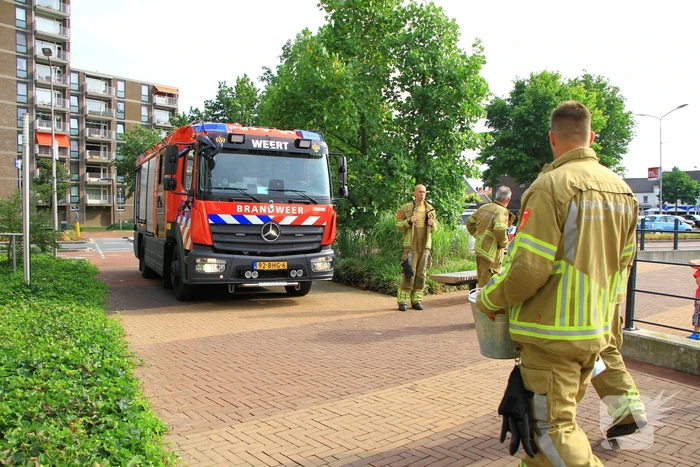 Meerdere kleine branden gesticht in bosschage