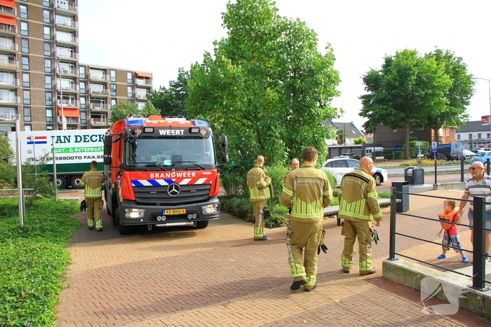 Meerdere kleine branden gesticht in bosschage