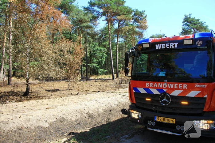 Stuk bosgebied in brand