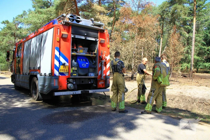 Stuk bosgebied in brand
