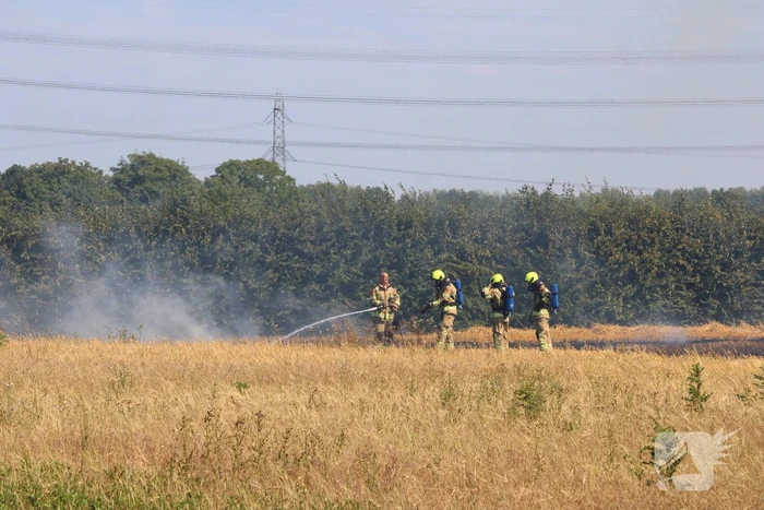 Flinke brand in graanveld