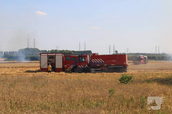Flinke brand in graanveld