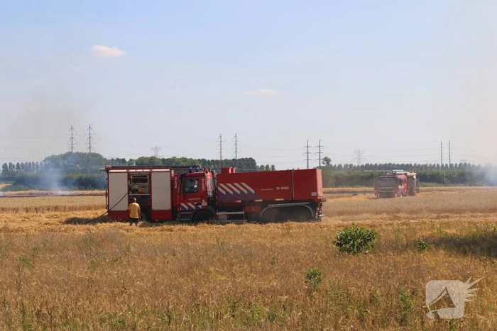Flinke brand in graanveld