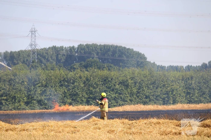 Flinke brand in graanveld