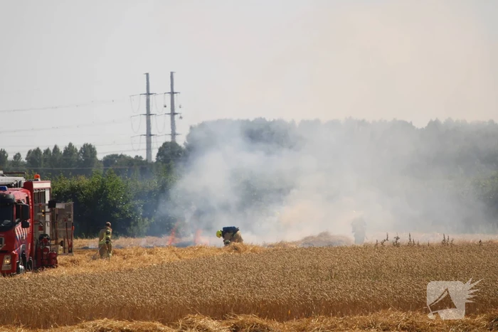 Flinke brand in graanveld