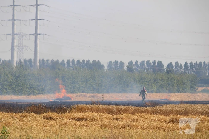 Flinke brand in graanveld