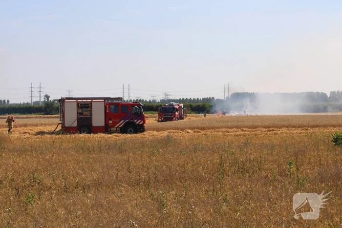 Flinke brand in graanveld