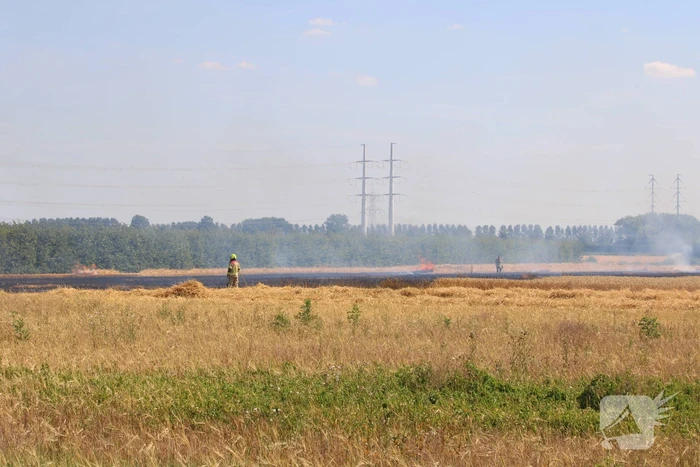 Flinke brand in graanveld