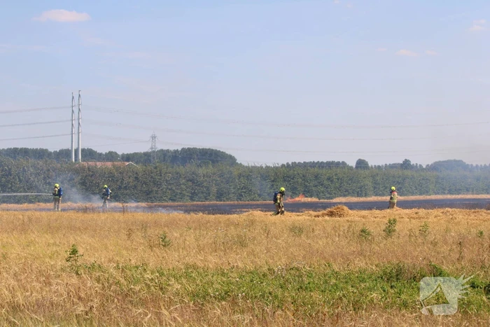 Flinke brand in graanveld