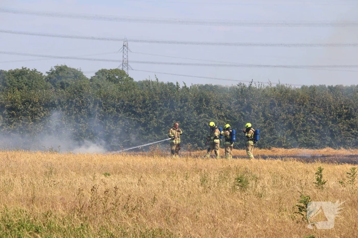 Flinke brand in graanveld