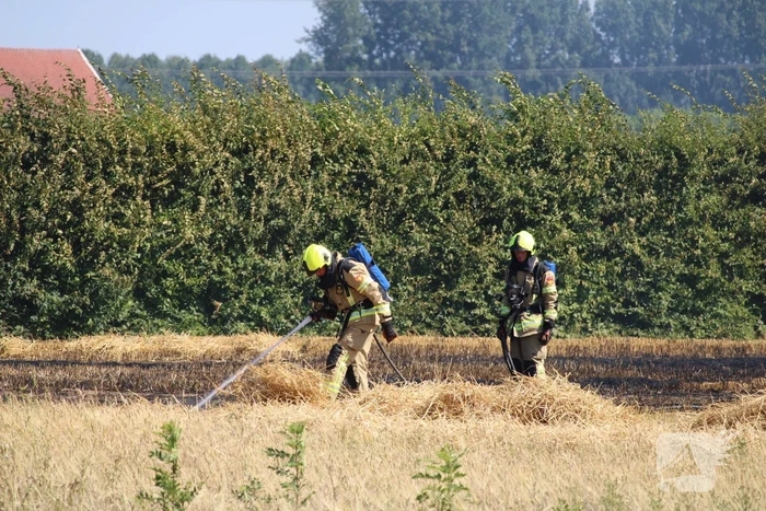 Flinke brand in graanveld