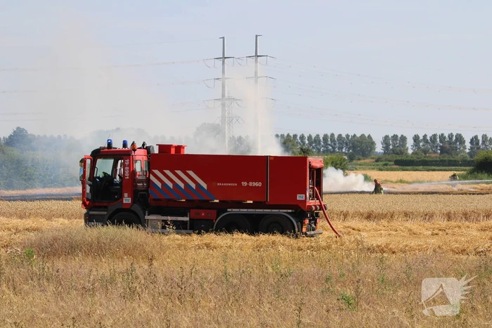 Flinke brand in graanveld