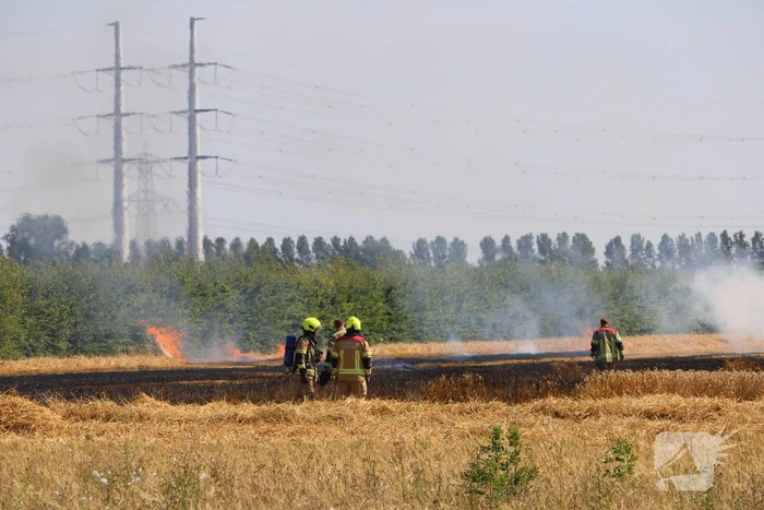 Flinke brand in graanveld