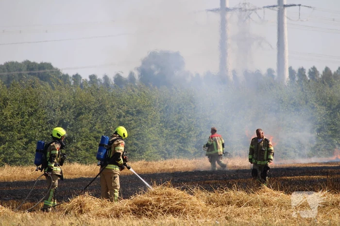 Flinke brand in graanveld