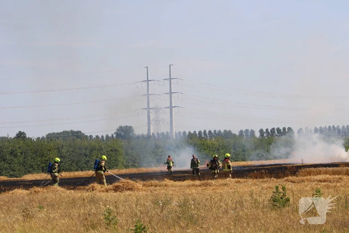 Flinke brand in graanveld