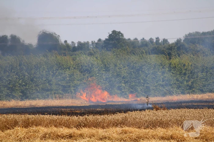 Flinke brand in graanveld