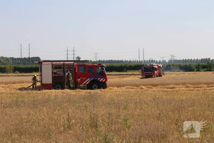Flinke brand in graanveld