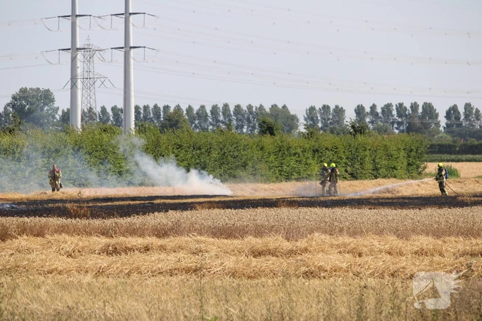 Flinke brand in graanveld