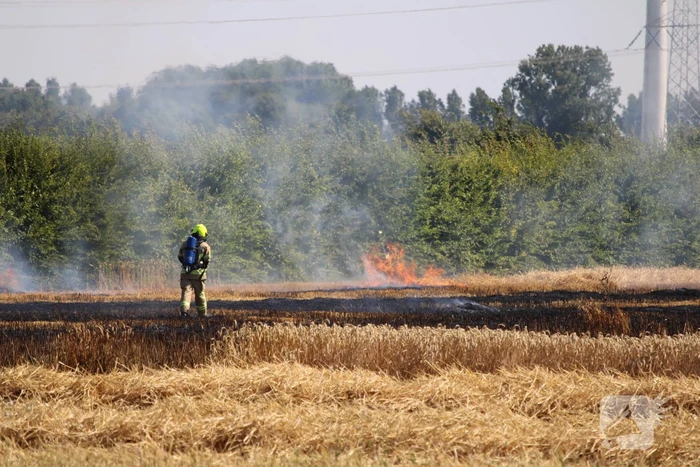 Flinke brand in graanveld