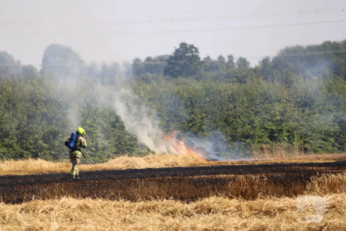 Flinke brand in graanveld