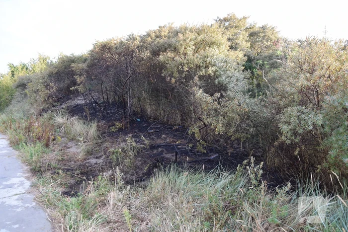 Duinbrand snel onder controle