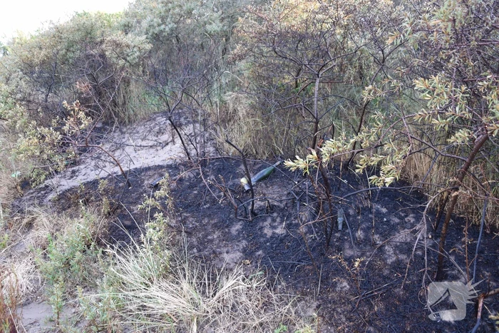 Duinbrand snel onder controle