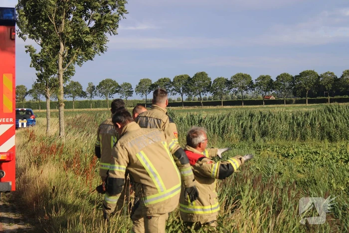 Veel mankrachten ingezet bij paard te water