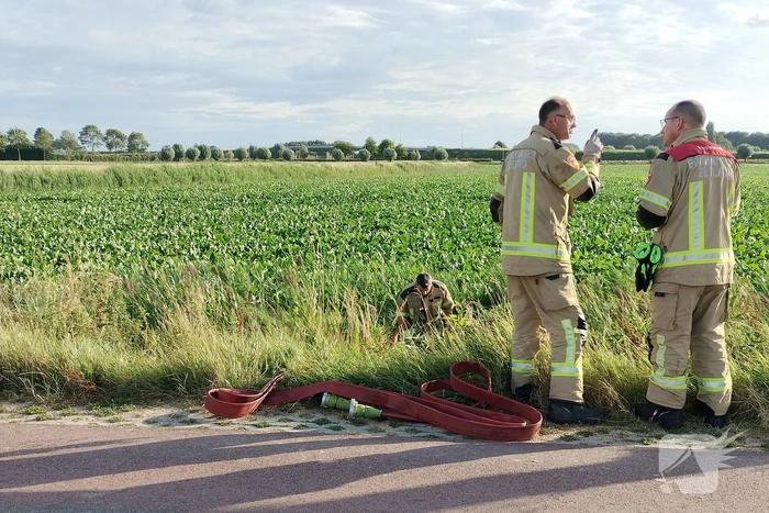 Veel mankrachten ingezet bij paard te water