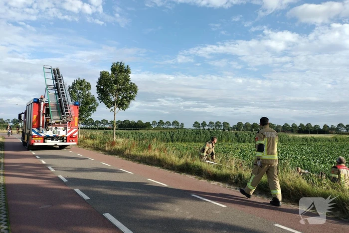 Veel mankrachten ingezet bij paard te water