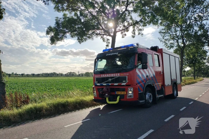 Veel mankrachten ingezet bij paard te water