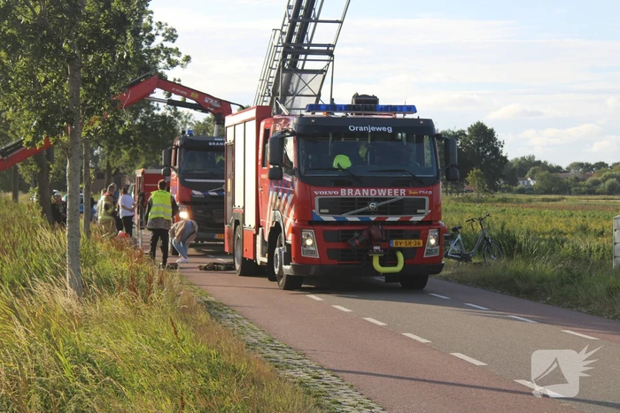 Veel mankrachten ingezet bij paard te water