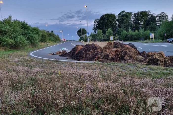 Lange files door dumping op snelwegen