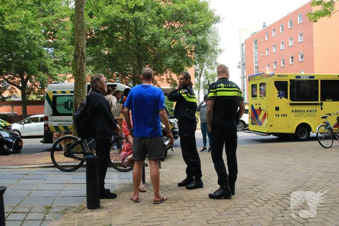 Enorme rookwolken bij brand in appartement