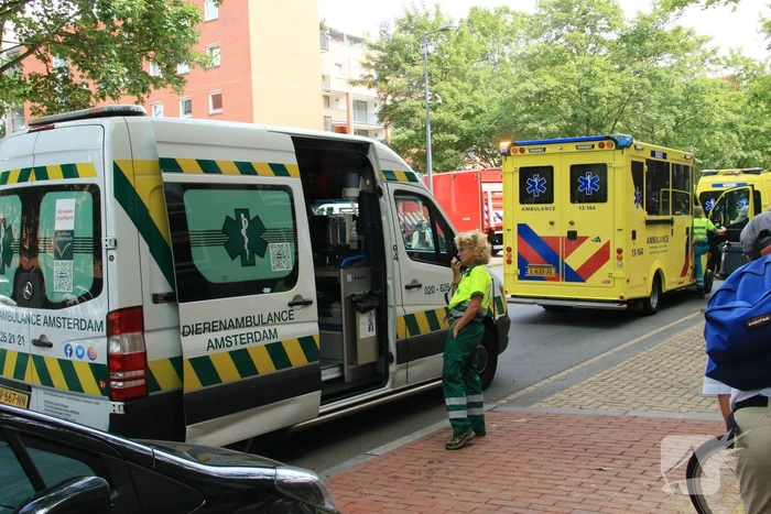 Enorme rookwolken bij brand in appartement