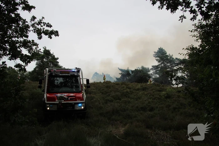 Kampvuur veroorzaakt heidebrand
