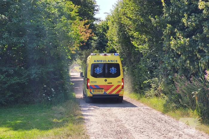 Jongen komt vast tussen twee bomen in Belevenissenbos