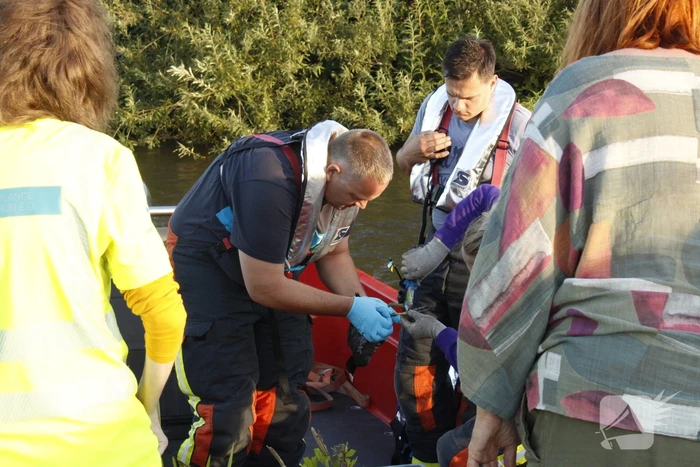 Brandweer redt vastzittende meerkoet