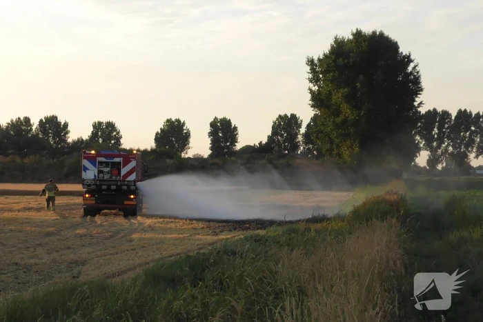 brand kladwijck steenbergen