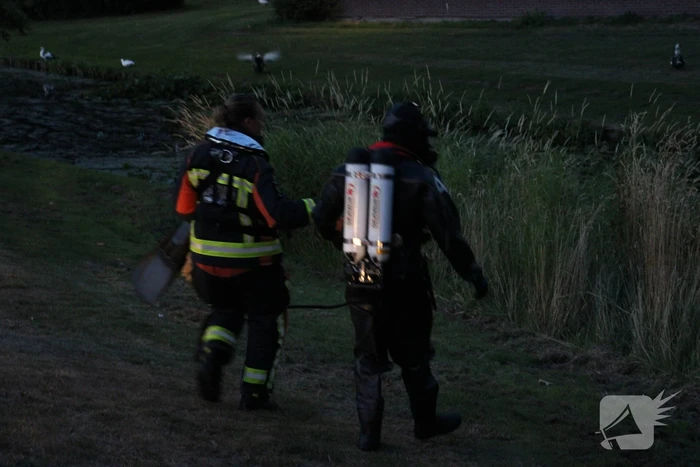 Brandweerduikers redden hond uit water