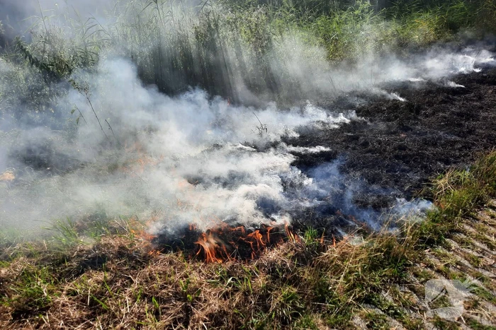 Omstanders doven bermbrand met kleed