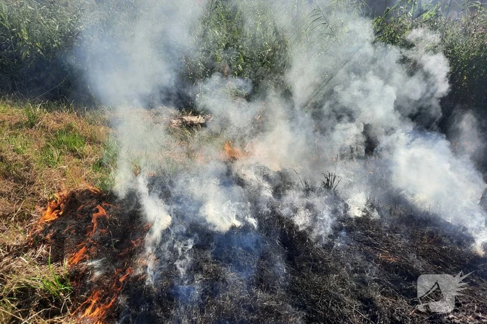 Omstanders doven bermbrand met kleed
