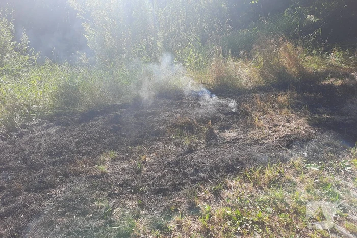 Omstanders doven bermbrand met kleed
